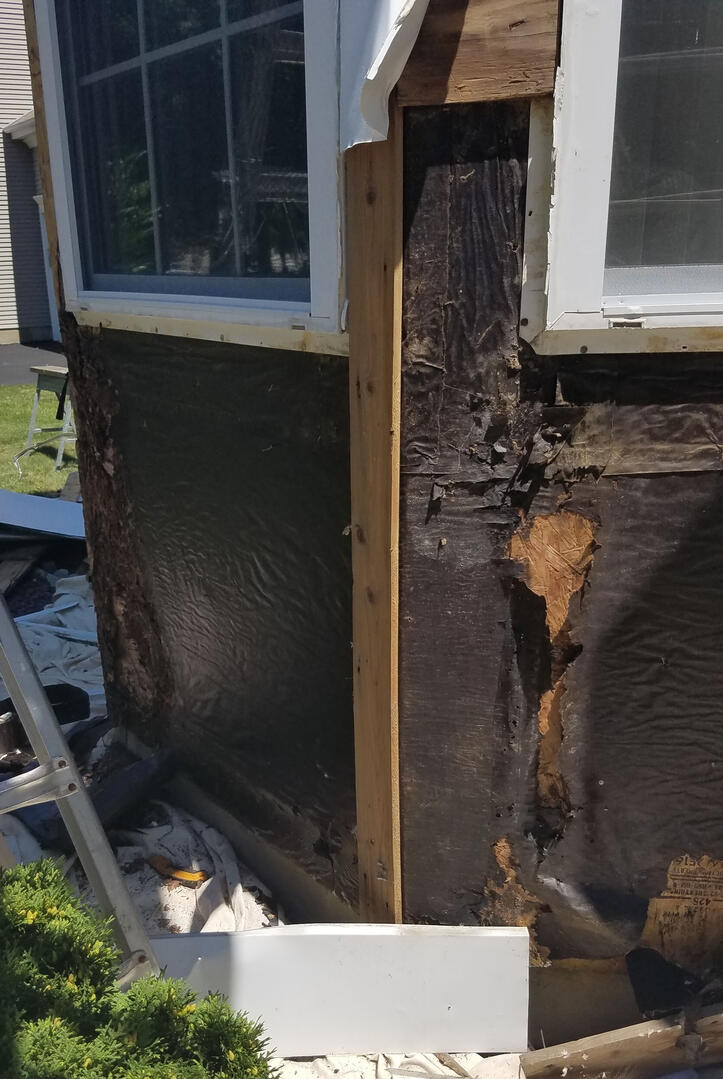 Windows-rotted, Freehold NJ