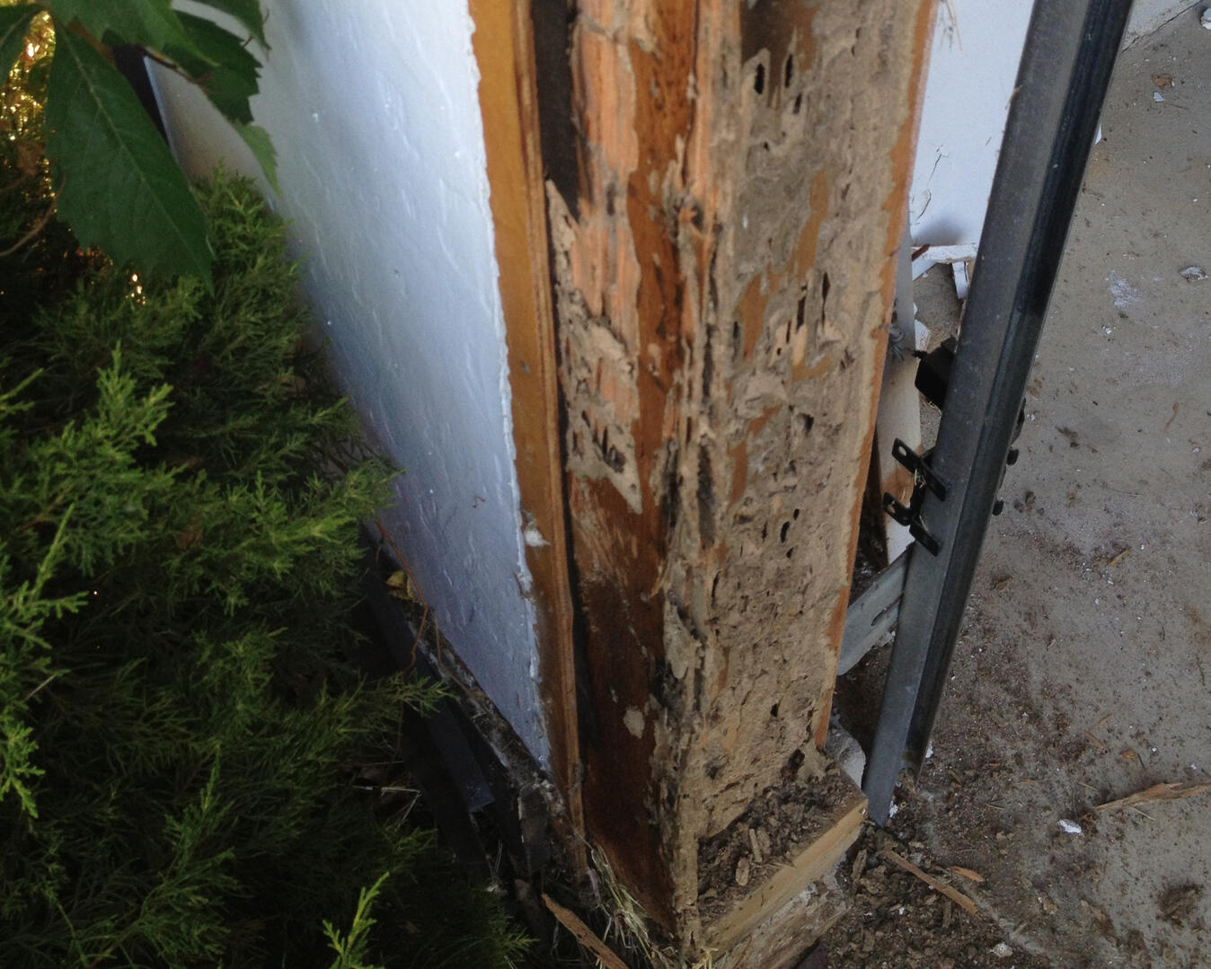 Carpentry-garage termite damage, Brick NJ